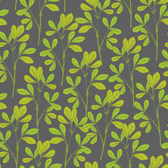 Fototapeta premium Botanical seamless pattern with fenugreek stems and leaves on gray background. Natural backdrop with green plants hand drawn in antique style. Vector illustration for wallpaper, textile print.