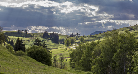Fototapeta na wymiar Rhodope mountains, Bulgaria in summer season