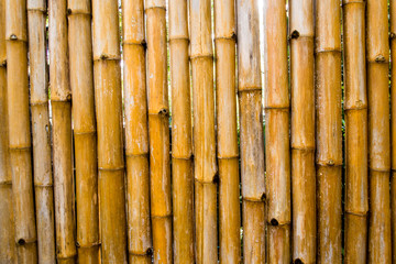 Texture of natural felling wall decorating from bamboo