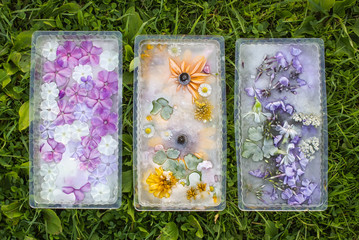 Ice cubes with flowers for cosmetic procedures.