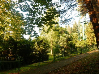 Obraz premium ecology