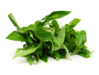 Bundle of Ipomoea Aquatica leaves isolated on white background