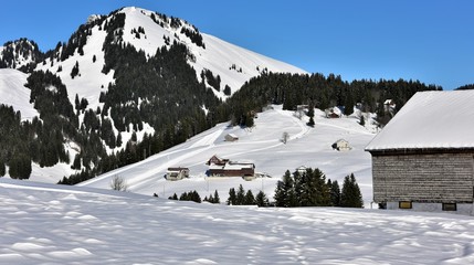 Fototapeta premium alpes...amden