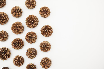 pine cone arrangement on a white background. 
