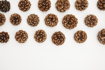 pine cone arrangement on a white background. 