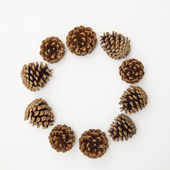 pine cone arrangement on a white background. 