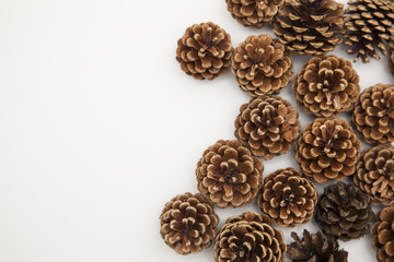 pine cone arrangement on a white background. 