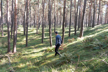 Obraz premium Man hunting for mushrooms