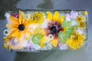 Ice cube with flowers for cosmetic procedures.