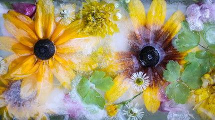 Ice cube with flowers for cosmetic procedures.