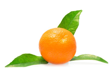 Mandarin orange fruit isolated on white background