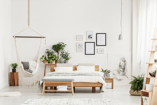 Spacious white bedroom with plants