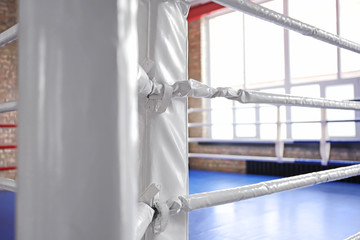 Boxing ring ropes in gym, closeup