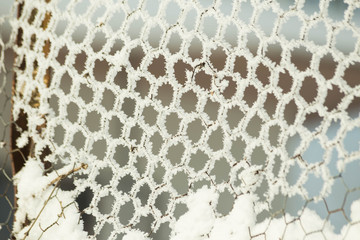 Obraz premium snow ice winter background cold