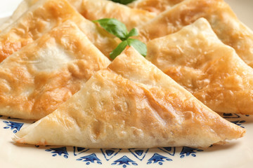 Plate with delicious samosas, closeup
