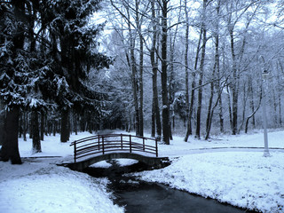 snowy Park and the bridge