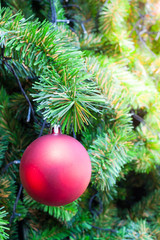 Beautiful decorated christmas tree with gold and red bauble