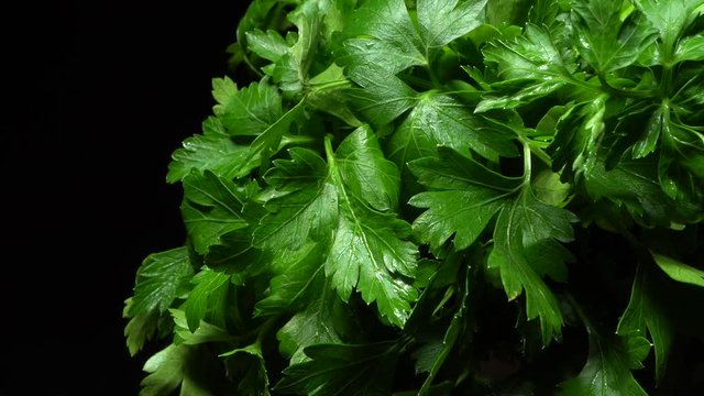 Bunch of parsley in rotation
