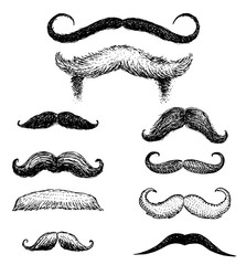 Set of mustache and funny beard of men, hipster and retro barber or hairdresser on transparent background. engraved hand drawn in old sketch, vintage style for packaging and signage.
