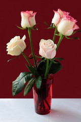 pretty roses close up isolated