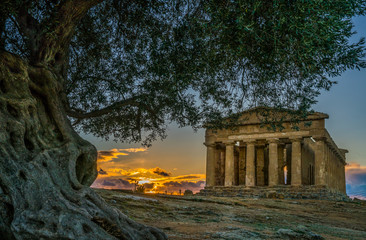 Tempio delle Concordia, Valle di Templi, Valley of Temples, Agrigento, Sicily - obrazy, fototapety, plakaty