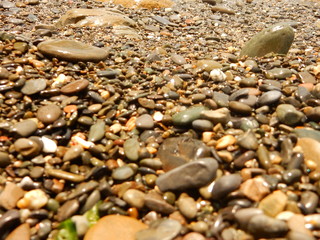  sea ​​stones