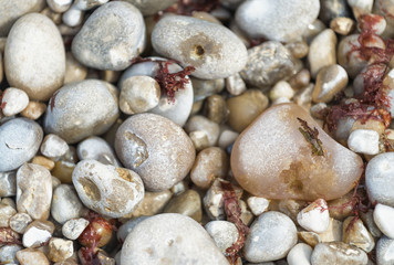 Collection of stone pebbles