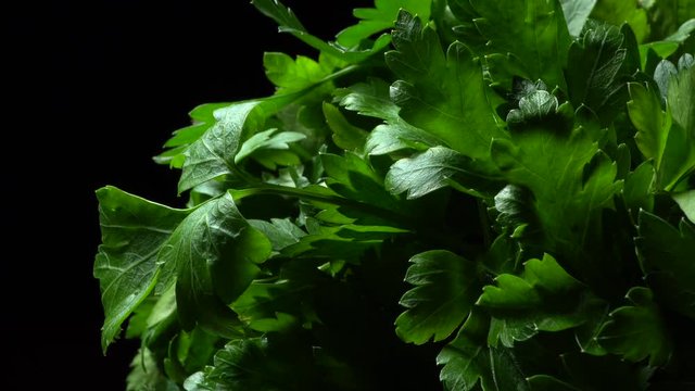 Bunch of parsley in rotation