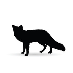 fox illustration
