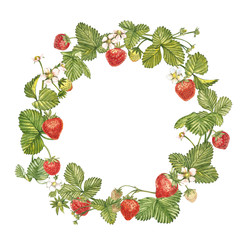 Watercolor colorful realistic wreath with ripe red Strawberry on round white background