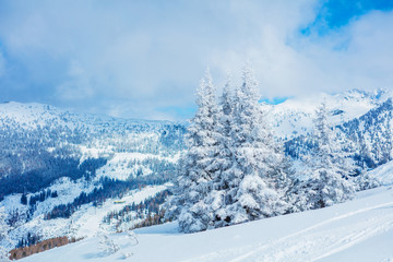 Winter in the austrian alps