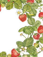 Vertical banners with ripe red berry strawberry on white background. Design for packaging, natural cosmetics, health care products. With place for text.
