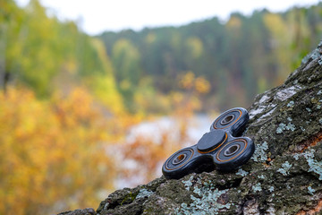 in the woods under the open sky lies on the birch spinner