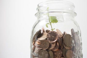 Concetto di investimento espresso da una piantina che cresce in barattolo di monetine