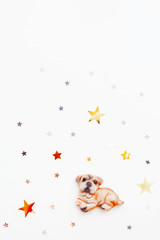 Christmas and winter holiday background with dog figure and star confetti. New Year 2018 symbol on white background with place for text.