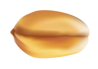 blé - grain de blé - gros plan - céréale - graine - agriculture - alimentation - nourriture - aliment