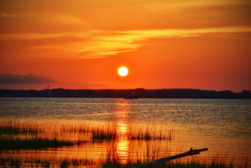 A landscape of an orange beach sunset with driftwood and reeds at Wilmington, North Carolina. 
