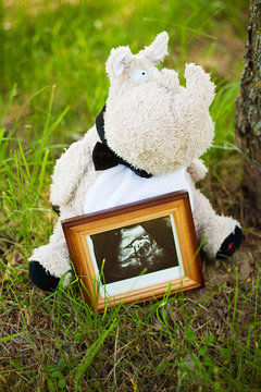 View of baby ultrasound scan and soft toy
