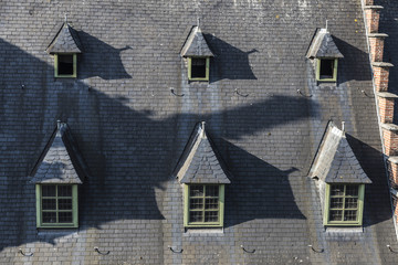 Windows on the roof of an old medieval house