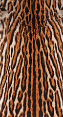 leopard background