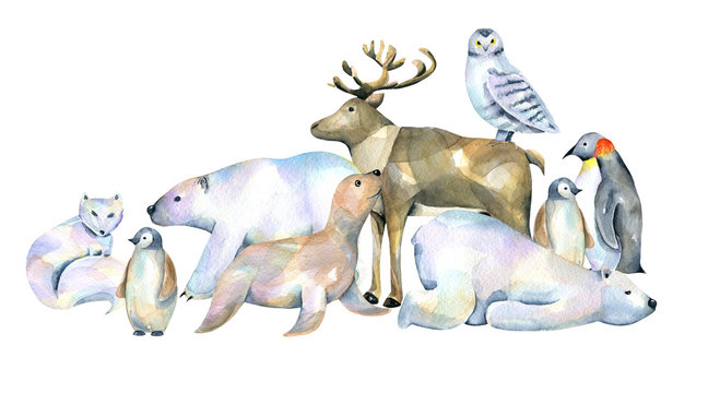 Watercolor cute polar animals illustrations, hand drawn isolated on a white background