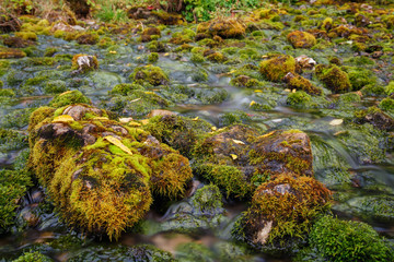A stream running amid stones and moss