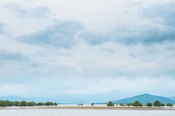 Mountain and mangrove forest andaman sea coast in Ranong, Thialand
