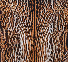 leopard background