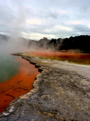 geotermal area park Wai o tapu in Rotorua, New Zealand
