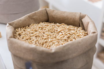 Illustration of bag with pine nut