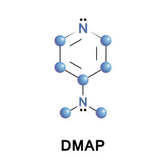 4-Dimethylaminopyridine DMAP