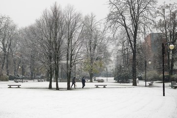 Park under the snow during winter. Slovakia