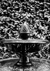 Fountain with Ivy  - 183807563