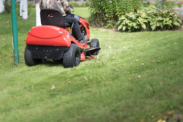 Gardener driving a riding lawn mower in a garden